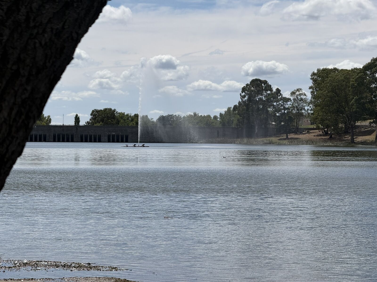 Lugares gratuitos en Tandil: todo lo que podés hacer sin gastar un peso