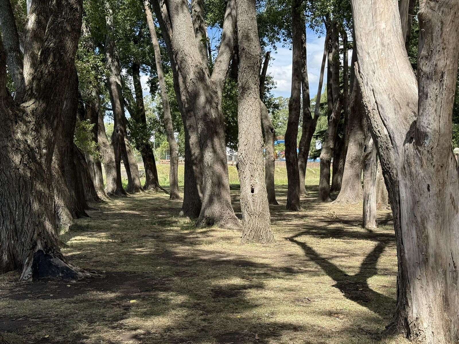 Qué hacer en Tandil en 2 días: el plan perfecto para un fin de semana largo en las sierras