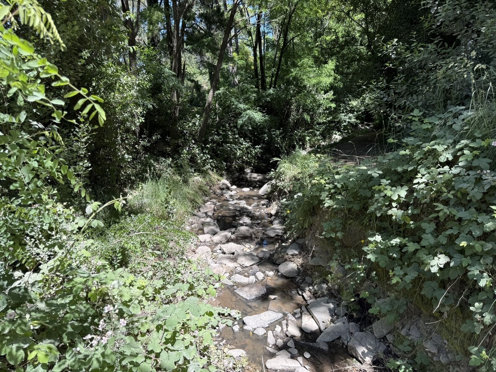 El arroyo escondido del Parque del Origen: el rincón más tranquilo de Tandil que casi nadie conoce
