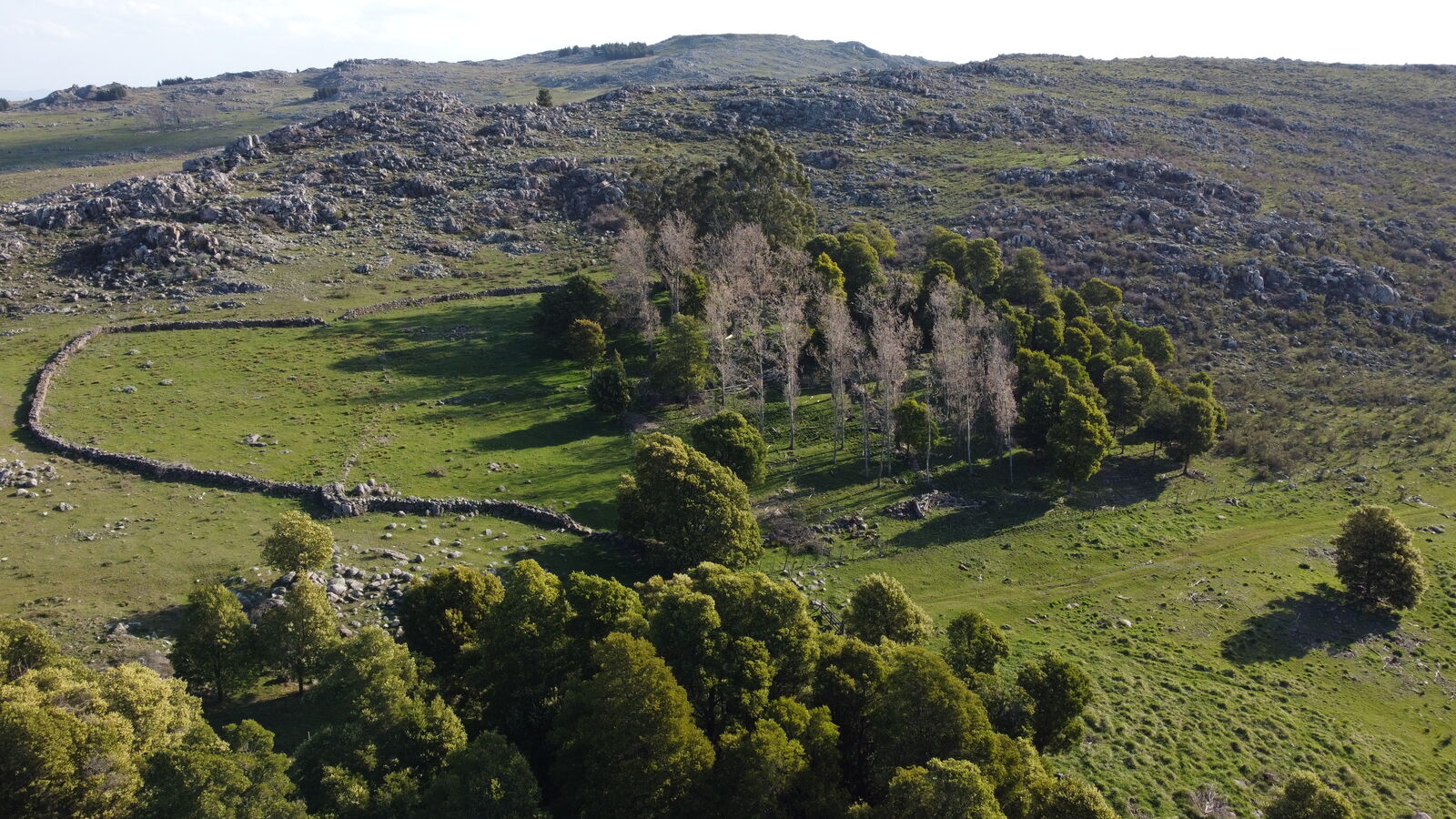 Valle del Picapedrero