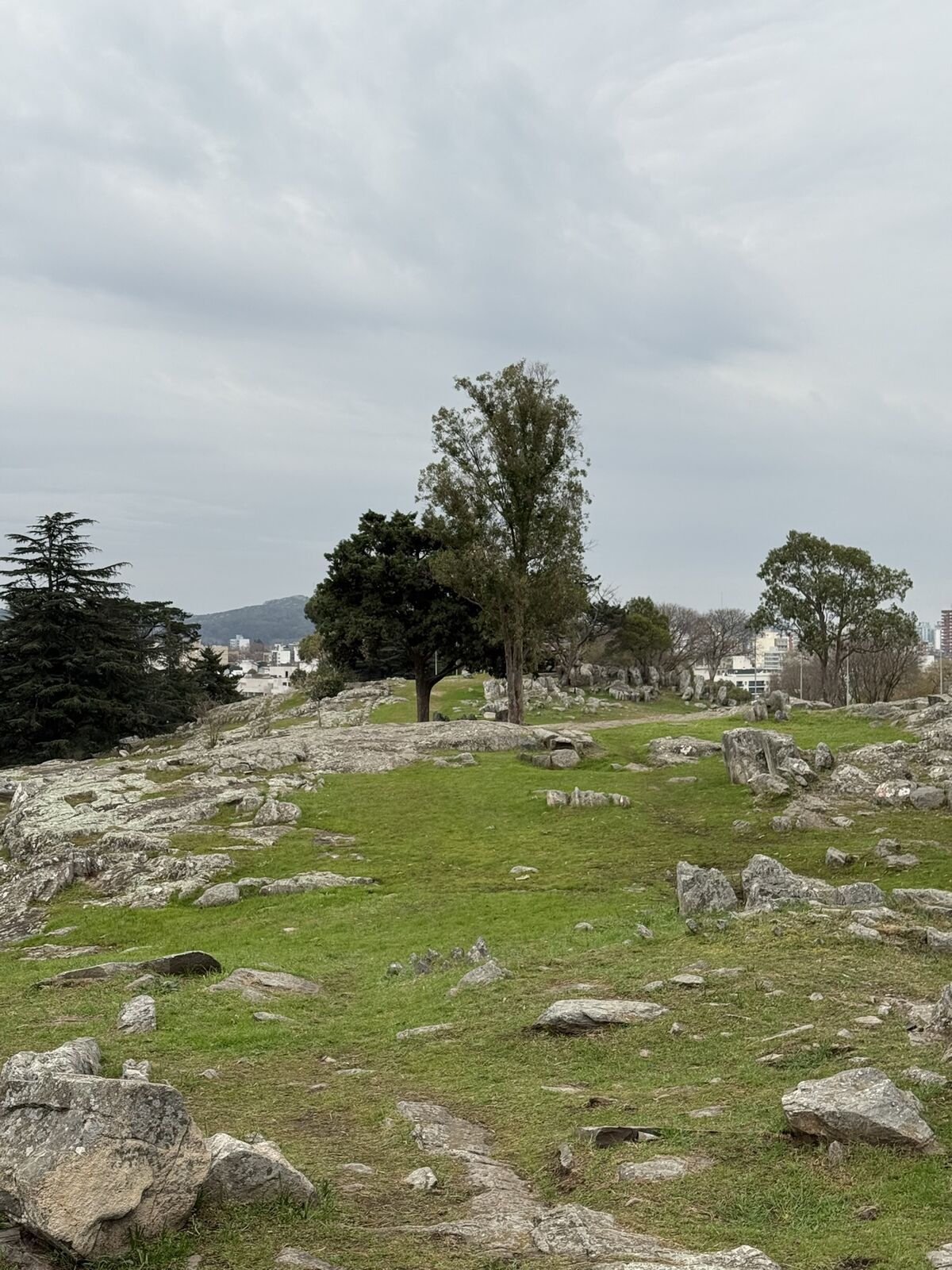 Cerro del Libertador (El Cerrito)
