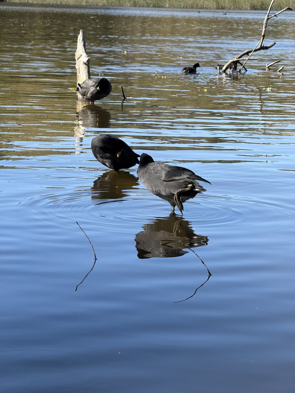 Arroyo en la Escollera Oeste - El Dique de Tandil