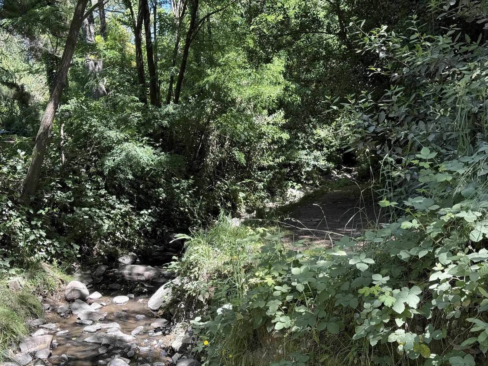 Arroyo escondido - Parque del Origen