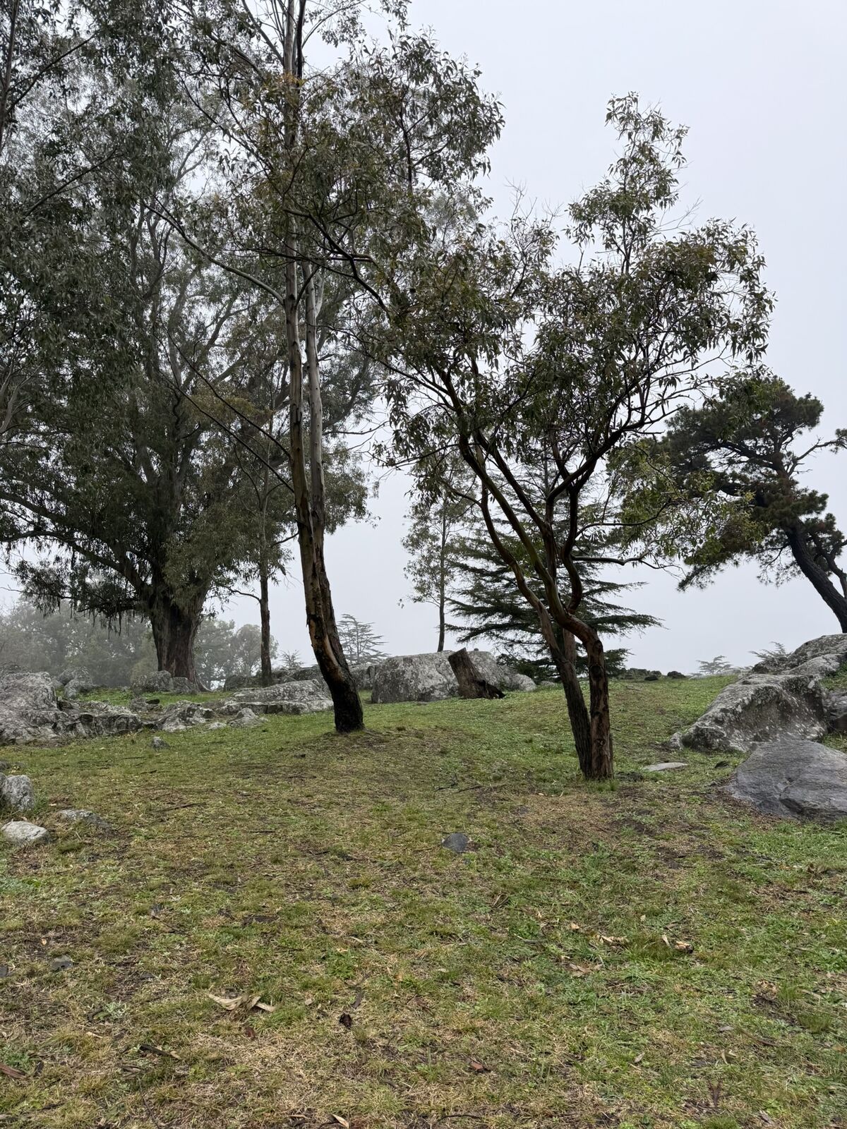 Cerro del Libertador (El Cerrito)