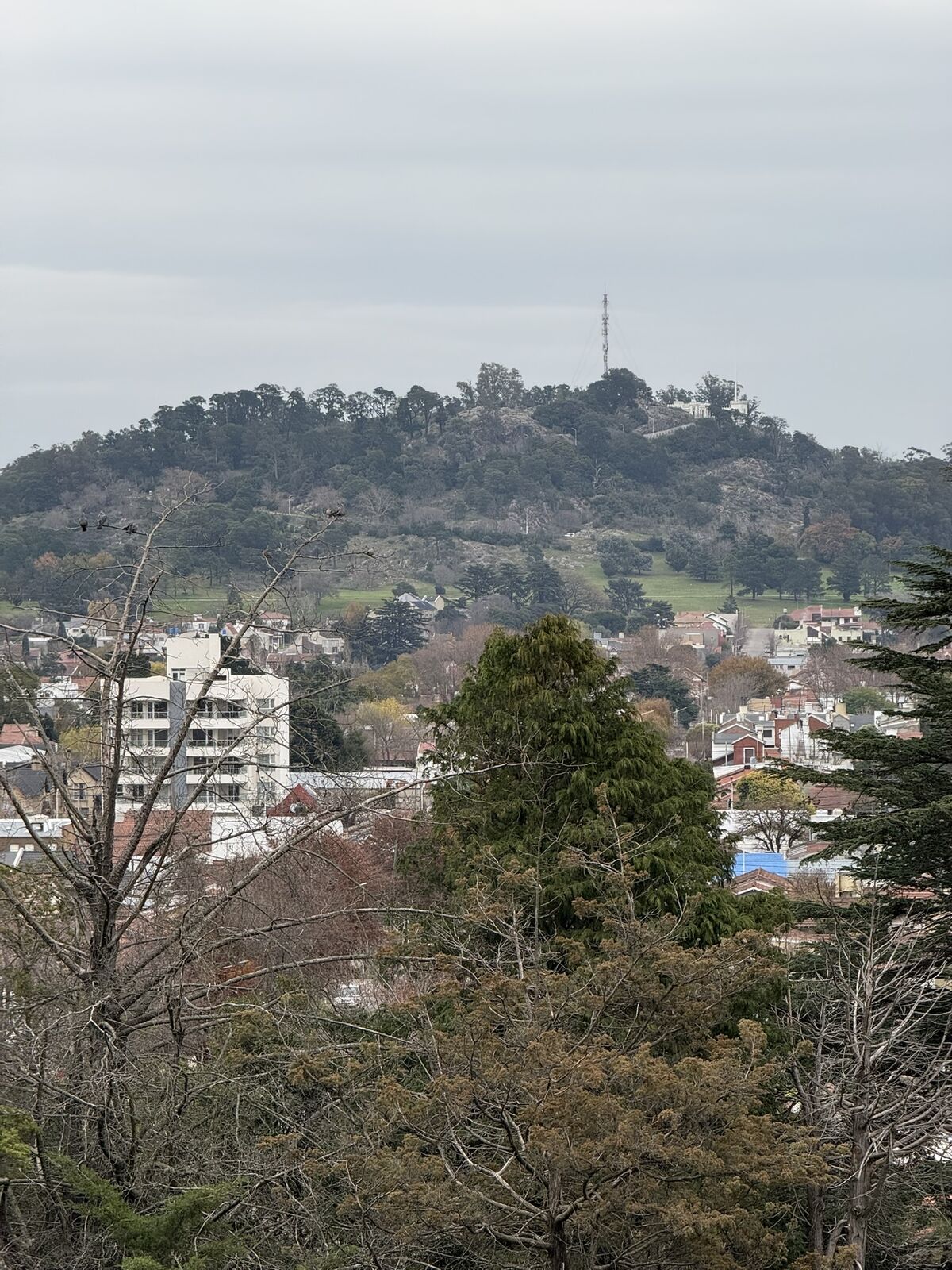Cerro del Libertador (El Cerrito)