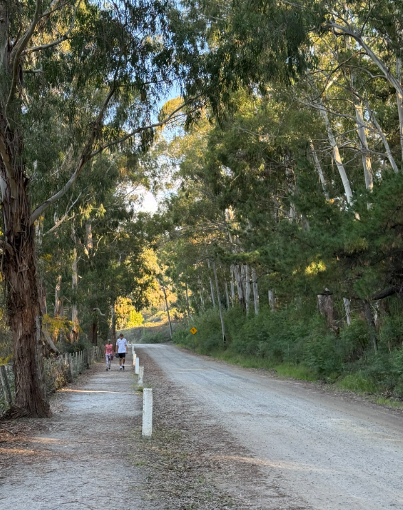 Sendero de las Animas