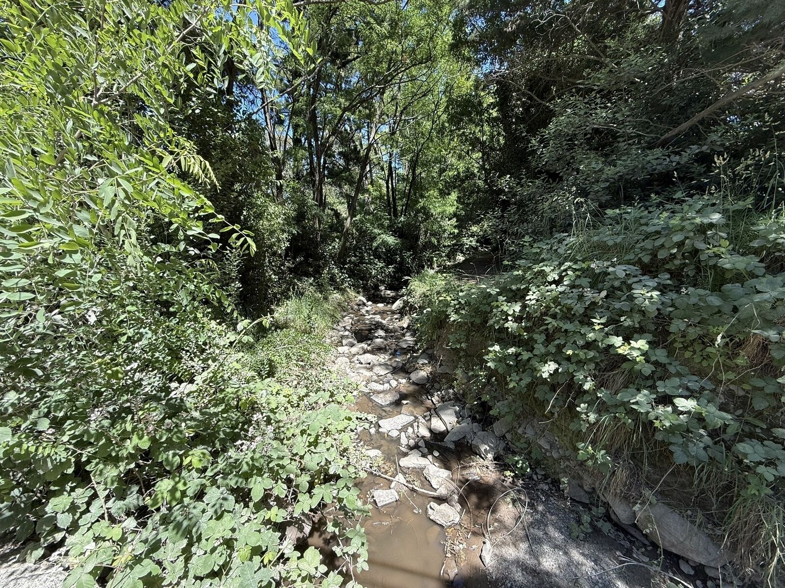 Arroyo escondido - Parque del Origen